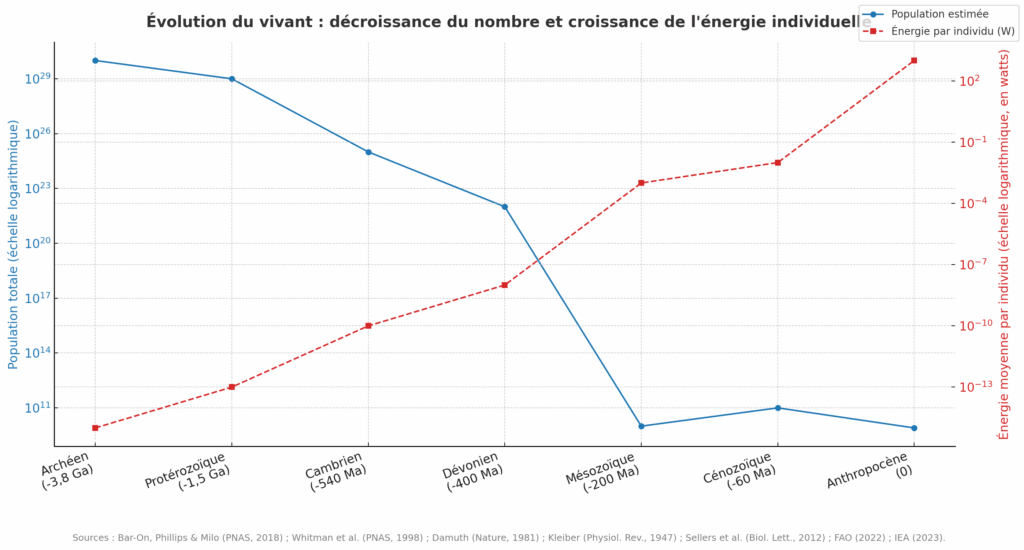 Evolution du vivant - Synapses Evolution du vivant - Synapses